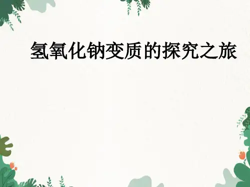 第1章物质及其变化(氢氧化钠变质的探究)(PPT课件(初中科学)15张)