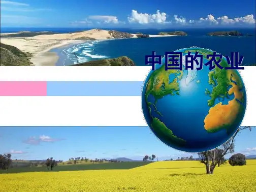 人教版八年级地理上册4.2农业(共84张PPT)