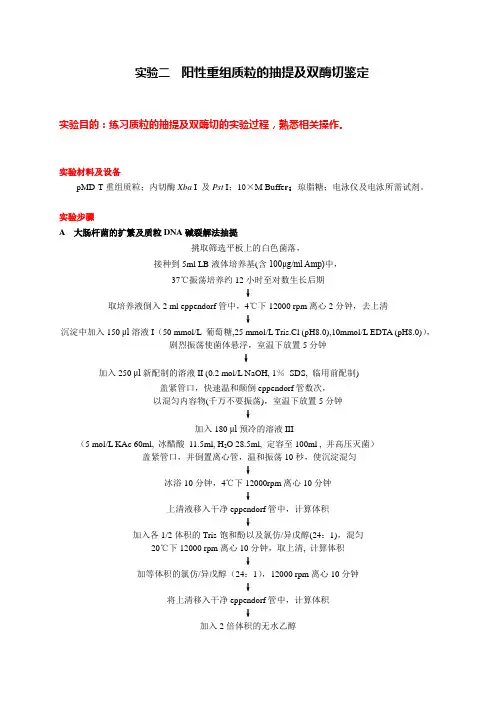 实验二  阳性重组质粒的抽提及双酶切鉴定