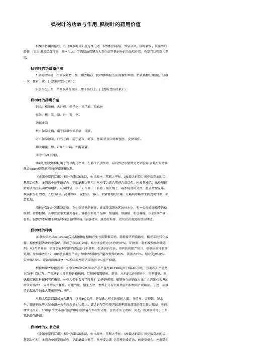 枫树叶的功效与作用_枫树叶的药用价值