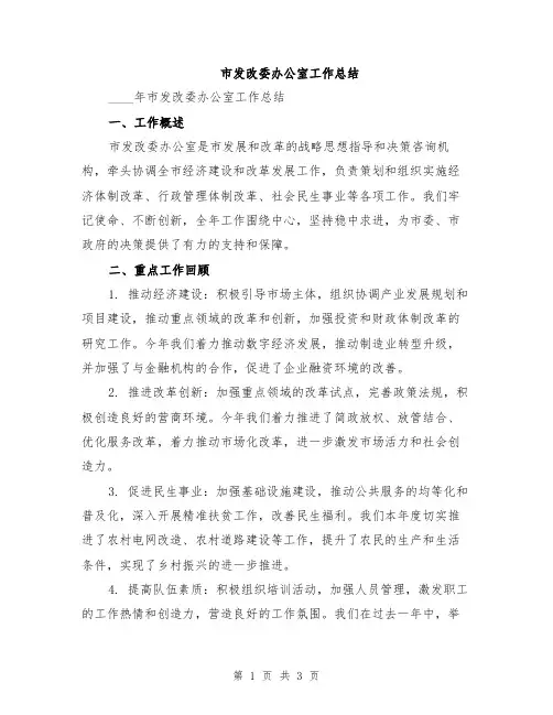 市发改委办公室工作总结