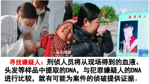 遗传信息的携带者——核酸PPT课件