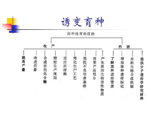 微生物  诱变育种