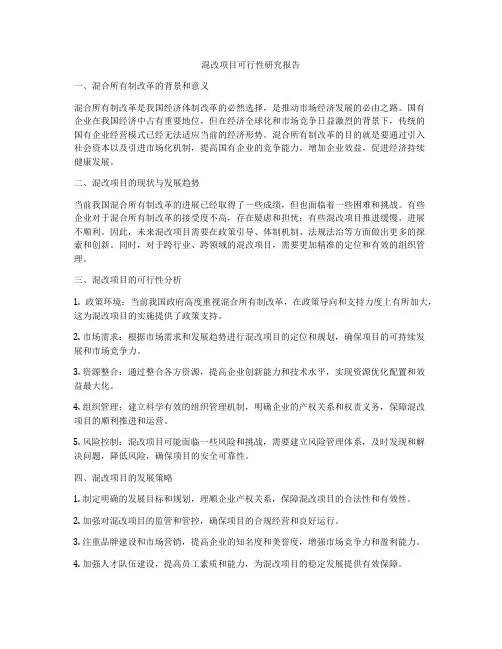 混改项目可行性研究报告