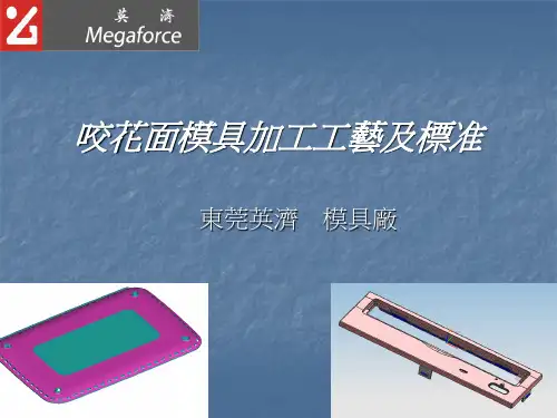 咬花面模具加工工艺及标准