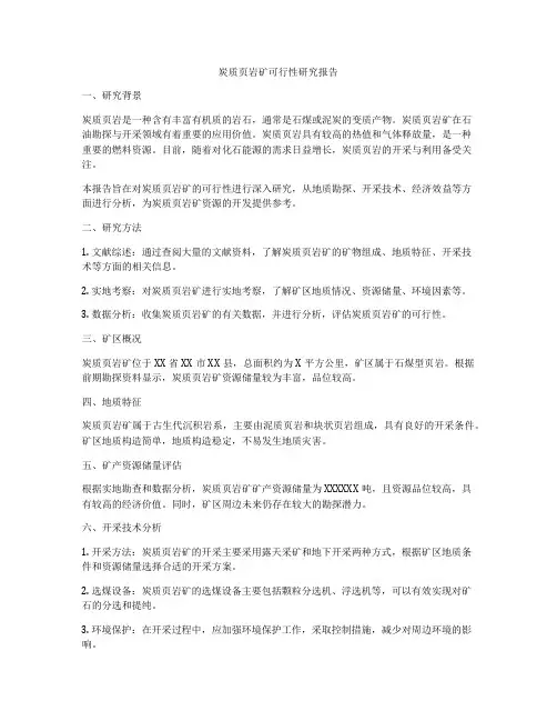 炭质页岩矿可行性研究报告