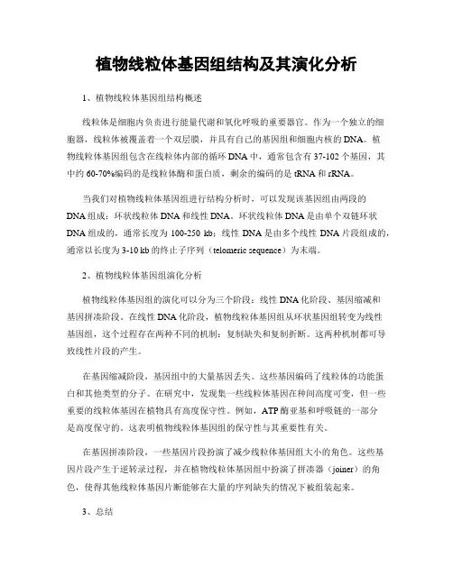 植物线粒体基因组结构及其演化分析