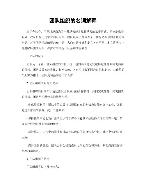 团队组织的名词解释