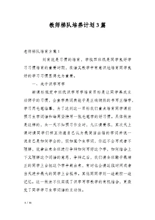 教师梯队培养计划3篇
