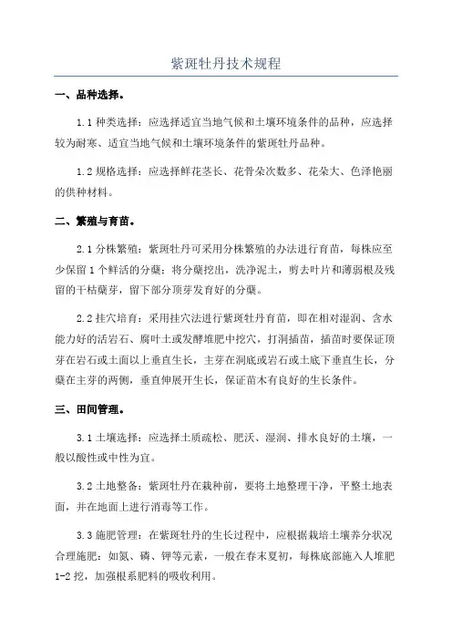 紫斑牡丹技术规程