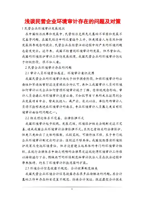 浅谈民营企业环境审计存在的问题及对策