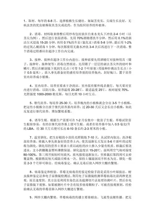 草莓组培