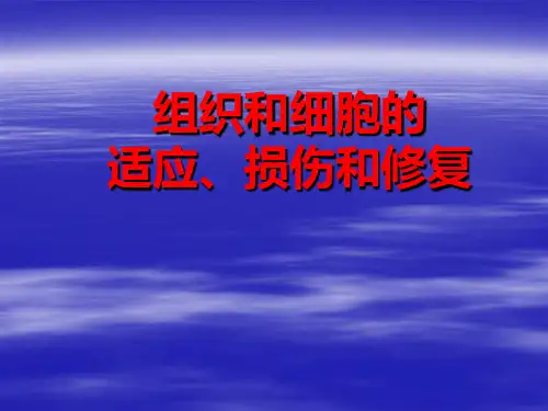 病理学—细胞和组织的适应、损伤和修复PPT