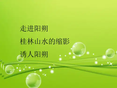 阳朔的介绍