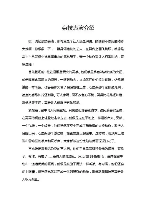 杂技表演介绍