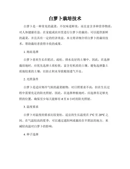 白萝卜栽培技术