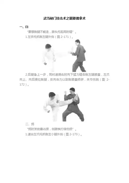 武当秘门技击术之腿膝擒拿术