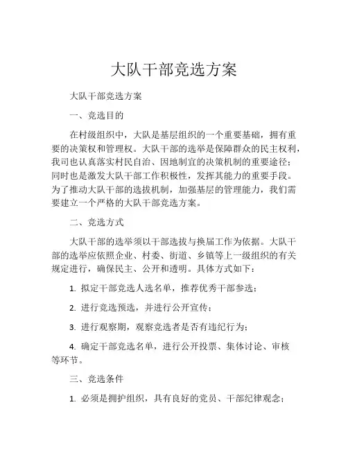 大队干部竞选方案