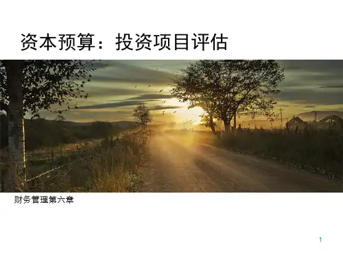 资本预算投资项目评价ppt课件