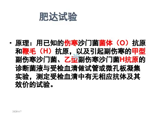 肥达试验
