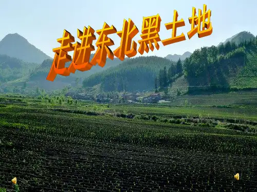 走进东北黑土地PPT课件