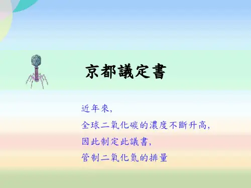 b型肝炎【精品课件】 - 副本