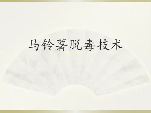 马铃薯脱毒技术