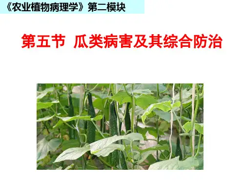 植物病理学瓜类病害综合防治