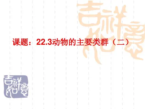 动物的主要类群(二)