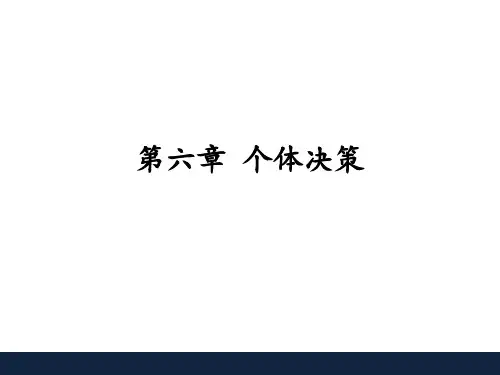 6 第六章  个体决策