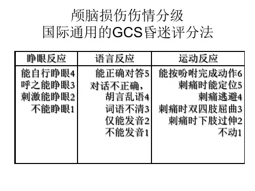颅脑损伤的分级与PPT课件