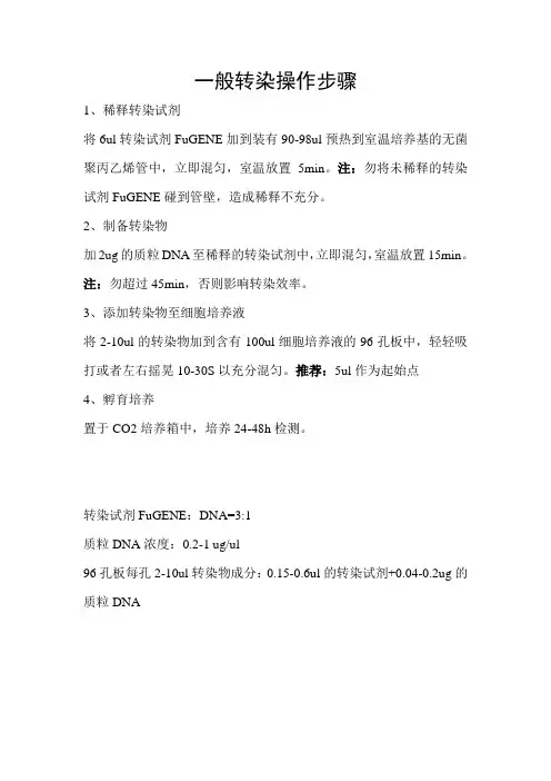 一般转染操作步骤