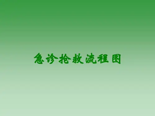 急诊抢救流程图