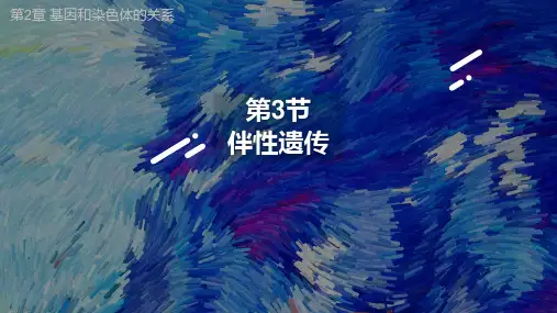 伴性遗传-高一生物课件(人教版2019必修2)