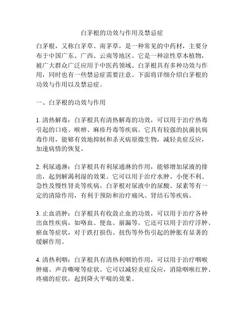 白茅根的功效与作用及禁忌症