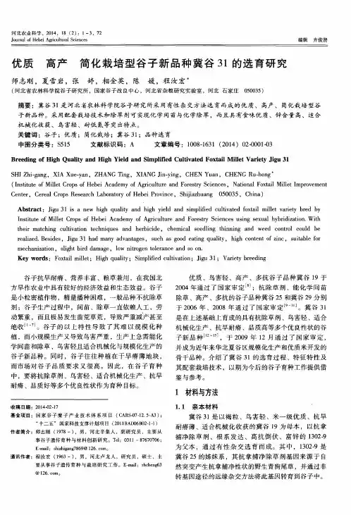 优质高产简化栽培型谷子新品种冀谷31的选育研究