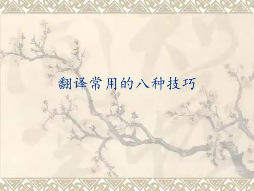 英汉互译八种技巧 ppt课件