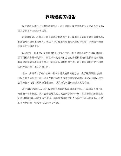 养鸡场实习报告