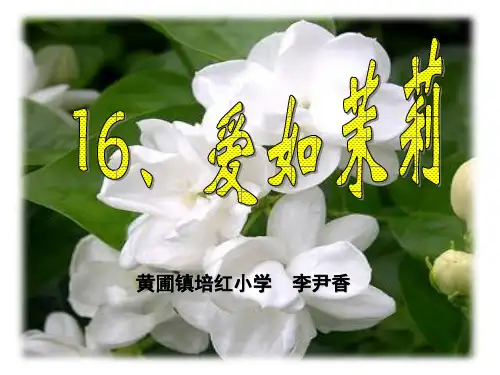 苏教版小学语文五年级下册《爱如茉莉》PPT课件
