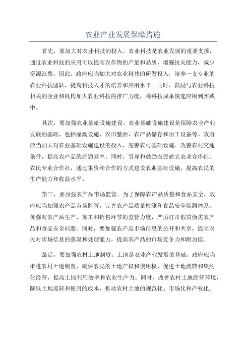 农业产业发展保障措施