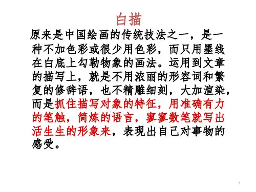 白描与渲染PPT课件