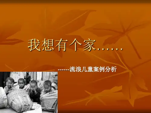 流浪儿童案例分析.ppt