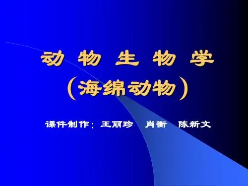 多孔动物门(Porifera)(海绵动物门Spongia