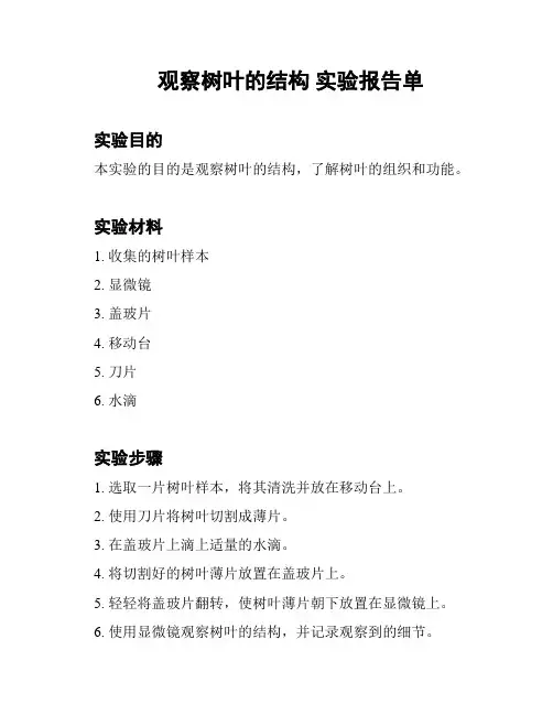 观察树叶的结构 实验报告单