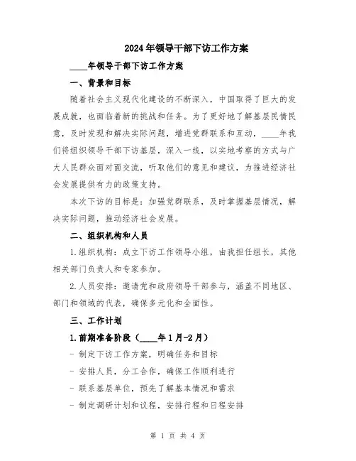 2024年领导干部下访工作方案