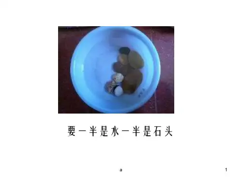 家用巴西龟饲养PPT