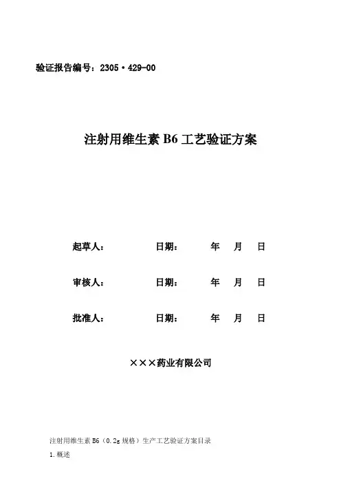 注射用维生素B6工艺验证方案0