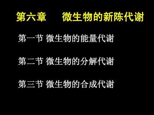 第六章 微生物的新陈代谢