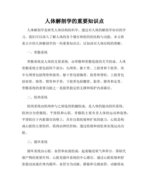 人体解剖学的重要知识点
