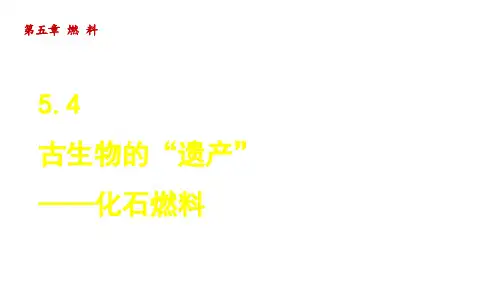 科学版九年级化学上册第五章4 古生物的“遗产”——化石燃料